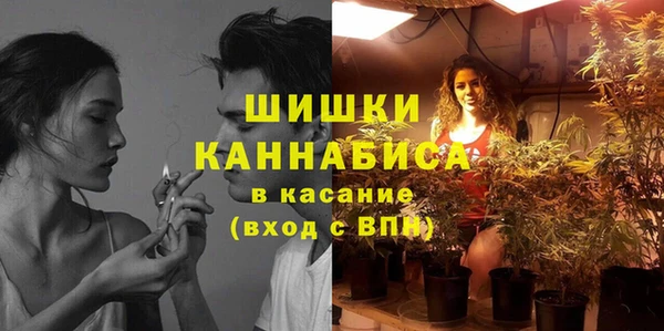 шишки Касимов
