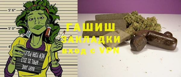 мдпв Каменногорск