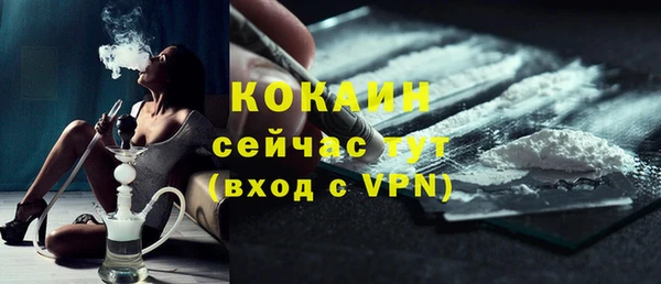 шишки Касимов